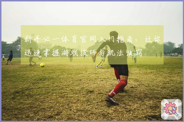 新手必一体育官网入门指南，让你迅速掌握游戏技巧与玩法诀窍